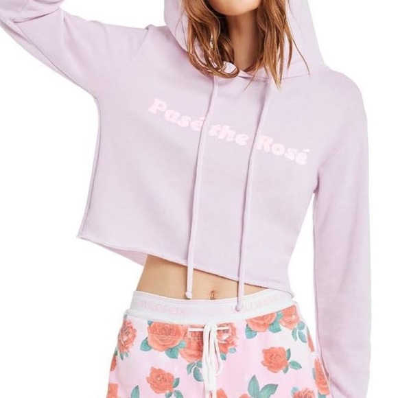 Wildfox Tops - WildFox Pasé the Rosé Ivy Hoodie